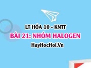 Tính chất hóa học, tính chất vật lí của Halogen? Trạng...